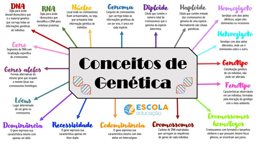Conceitos de Genética
